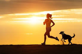 5 Tips for Running with your Dog